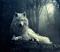 آواتار WolFlanD